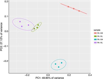 Investigating the Role of Root Exudates in Recruiting Streptomyces Bacteria to the Arabidopsis thaliana Microbiome